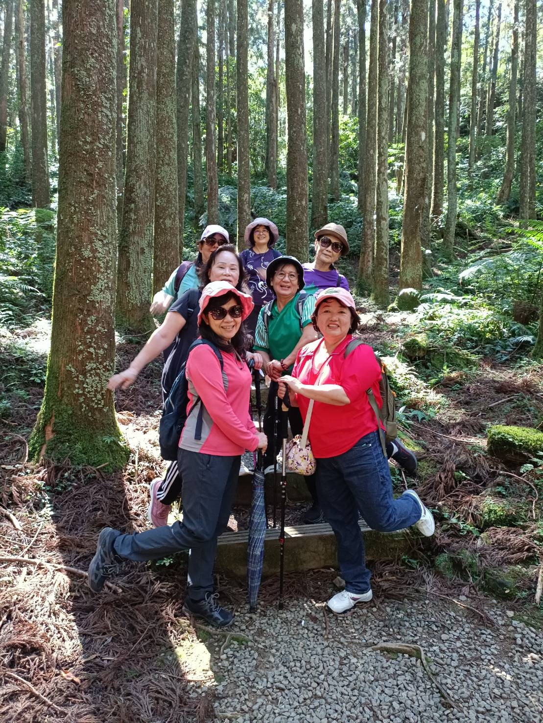 2023年11月05日衛生所志工與衛促會東眼山旅遊照片1