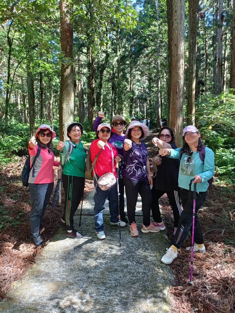 2023年11月05日衛生所志工與衛促會東眼山旅遊照片2