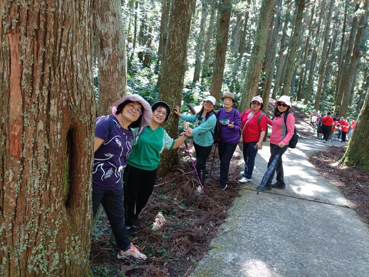2023年11月05日衛生所志工與衛促會東眼山旅遊照片6